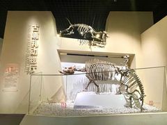 -国家自然博物馆