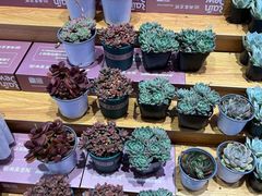 -雨露空间(嘉善万联城店)