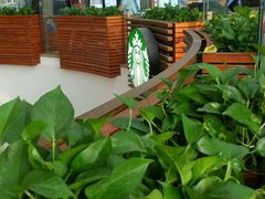 -星巴克(武汉协和医院店)
