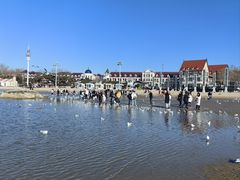 -老虎石海上公园