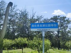 -青龙湖公园