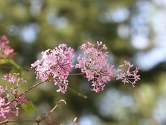 -朝阳公园