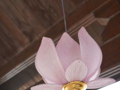 -天津东丽湖风景区