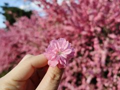 -辽宁省实验中学