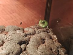 -杭州野生动物世界