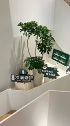 -茉本spa美肌社