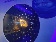 -青岛海底世界-水族馆