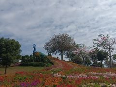 -东莞植物园