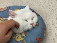 -新梦百货(民族店)