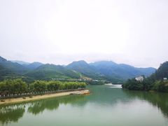 -秦巴石锅鱼(文化南路店)