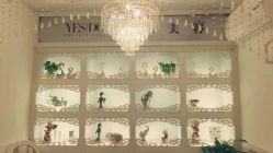 -YESIDO椰岛美容
