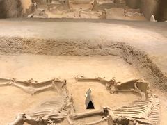 -洛阳周王城天子驾六博物馆