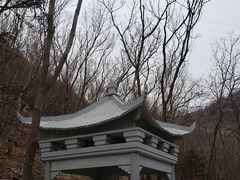 -白水寺森林公园
