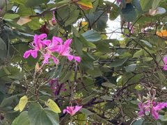 -龙环葡韵住宅式博物馆