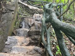 -梧桐山风景名胜区