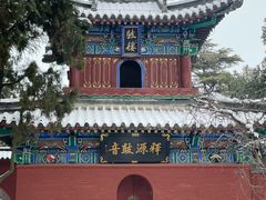 -洛阳白马寺