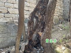 -井塘古村