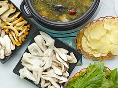 -蘑统田下·野生菌火锅