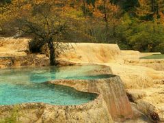 -黄龙山原始森林景区