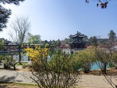 -迎泽公园