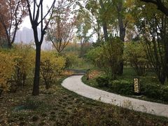 -迎泽公园