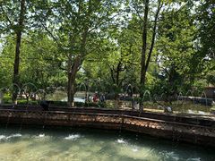 -静之湖湖畔餐厅