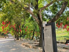 景点-广州市石门国家森林公园