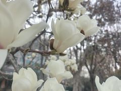 -青岛鑫江温德姆酒店