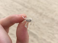 -三亚海棠湾万丽度假酒店