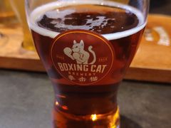-Boxing Cat Brewery拳击猫精酿啤酒馆(永福店)