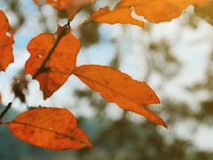 -古宇湖风景名胜区