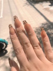 -恐龙·美甲美睫