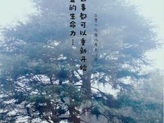 -宋庆龄陵园