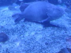 -天山海世界·米立方