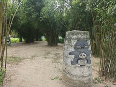 -金银湖国家城市湿地公园