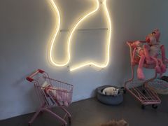 -有猫主题·治愈系猫咖(曾厝垵店)