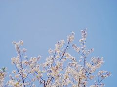 -中山公园