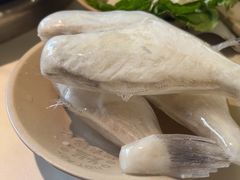 耗儿鱼-朱氏胖子烂火锅(洪崖洞店)