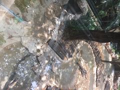 长隆酒店麒麟中餐厅-麒麟中餐厅·经典粤菜·地道菜式老字号(广州长隆酒店)