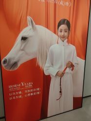 -大树儿童摄影