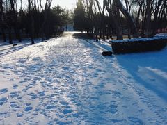 -北京世界公园
