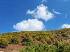 -塞罕坝国家级自然保护区