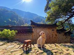 -杨家堂村