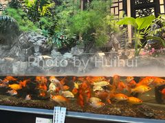 -舟小鲜·舟山小渔村(凤城四路中登广场店)