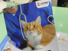 -艾贝尔宠物医院·24H转诊中心·肿瘤猫专科(江宁双龙店)