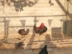 -兴芮温泉度假区