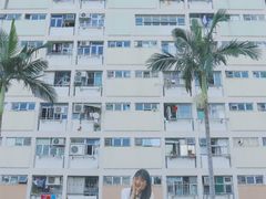 -彩虹村