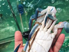 -川湘蓝天海鲜