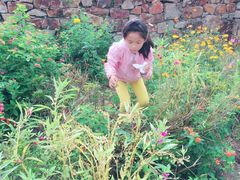 -田园东方蜜桃村的田野营地