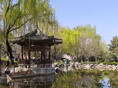 -西安乐游原